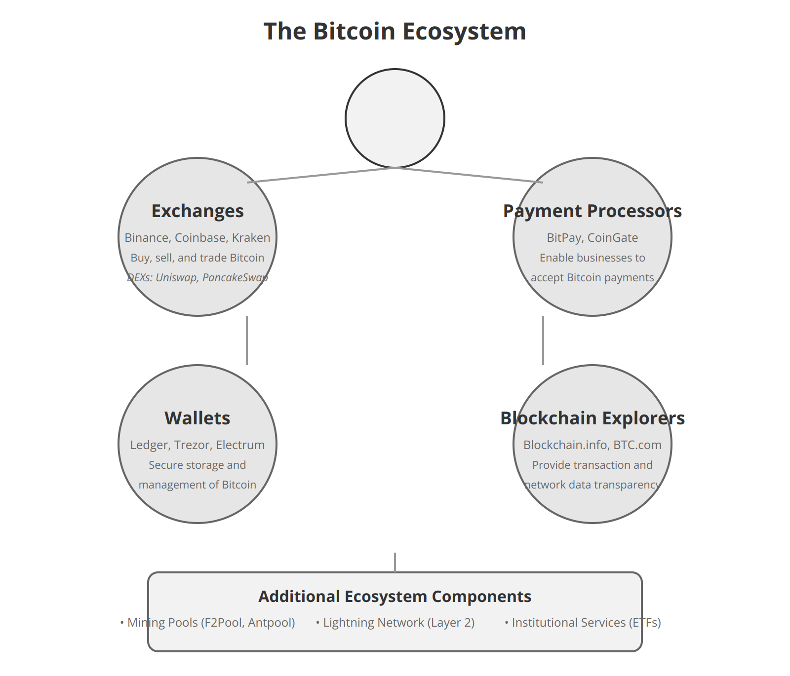 The Bitcoin Ecosystem: Exchanges, Payment Processors, and More